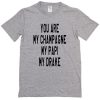you are my champagne my papi my drake T-Shirt