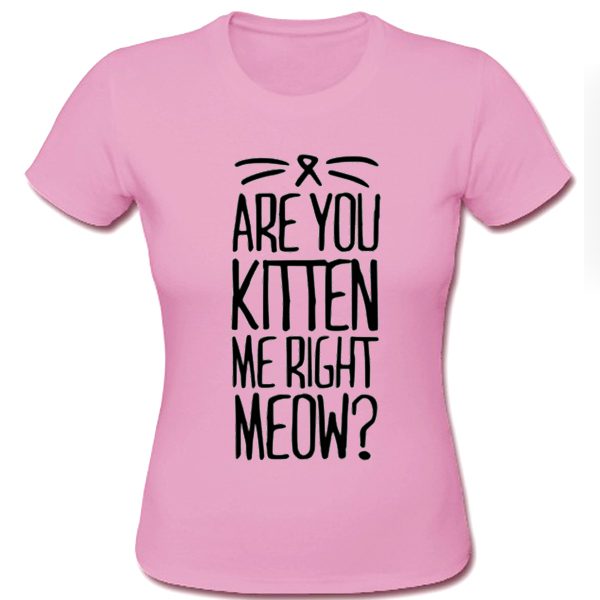 Are You Kitten Me Right Meow T shirt