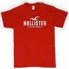 Hollister tshirt