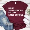 I'm Not Superstitious But I Am A Little Stitious Tshirt