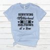 Surviving Motherhood One Meltdown At A Time T -Shirt