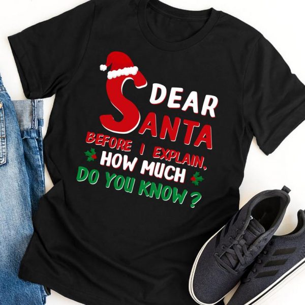 Dear Santa Before I Explain How Much Do You Know Cute Santa T-Shirt