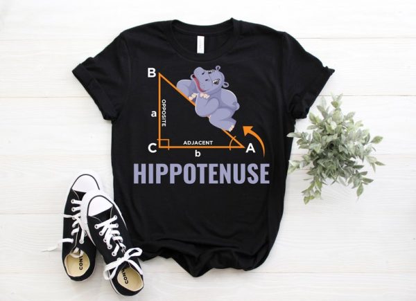 Hypotenuse Formula Hippo Math Analytical Funny Sarcasm Humor Teacher Student Gift T-Shirt