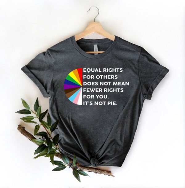 Equal Rights For Others Does Not Mean Fewer Rights For You It's Not Pie T-Shirt